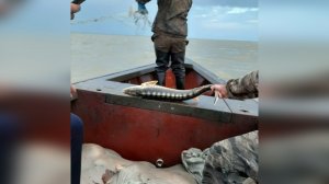 ?Ловля Частиковой Рыбы на Каспии?Рыбалка в Дагестане?