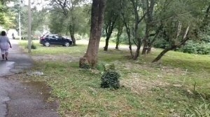 Бетта Пансионат Альфа. Южный.