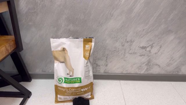 Сколько в месяц уходит денег на мопса?🐶💵 смотреть онлайн