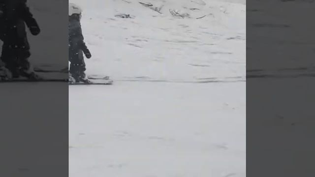 Видео покупателя Reindeer Prestige Lily смотреть онлайн