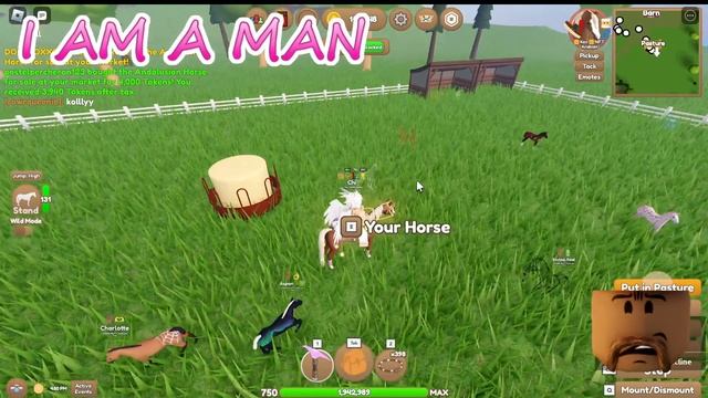 Wild Horse Islands | New Arabian Coat and Special Coat!! смотреть онлайн