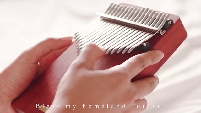 【1 HOUR】Relaxing Kalimba Music Collection For Sleeping, Studying, Relaxing