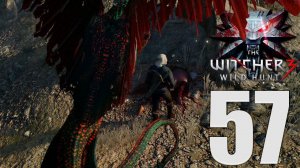 Прохождение The Witcher 3: Wild Hunt: Часть 57 — Пропавший жених