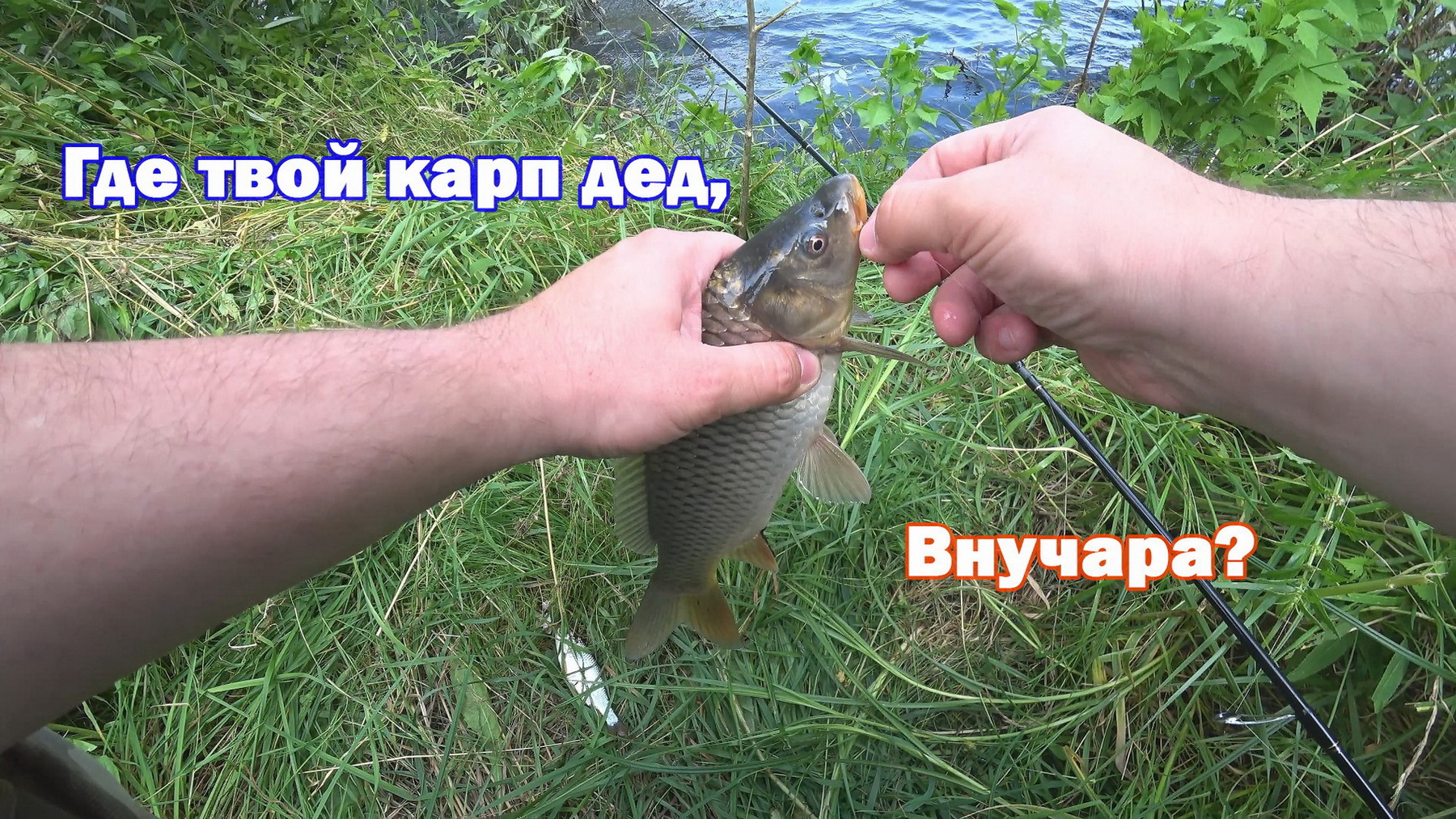 Плотва на мах и донку в штормовой ветер. Бонусные КАРПЯТА на кукурузу