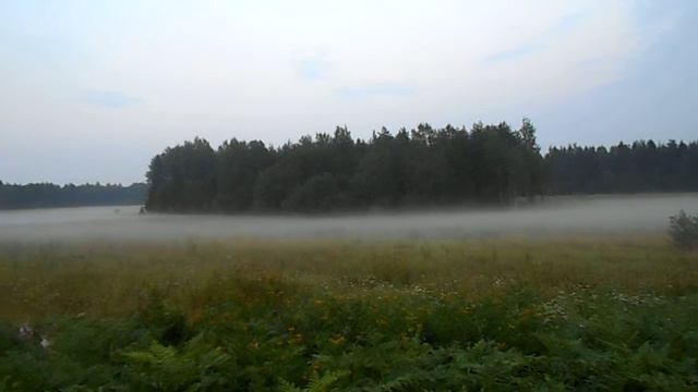 Туман в полях за Тихвином. 26.07.16. смотреть онлайн