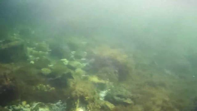 Купание на море Межводное Крым 2022 смотреть онлайн