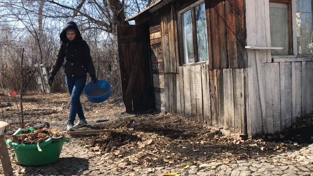 Лилейник проснулся. Очищаю клумбу смотреть онлайн