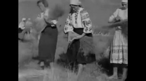 Човен. Океан Эльзи