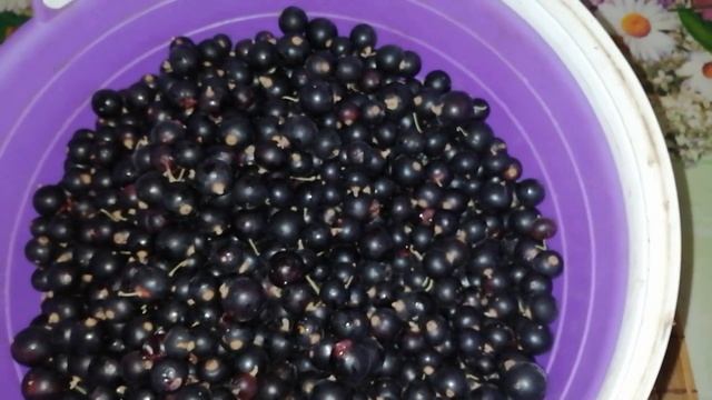 ЖЕЛЕ ИЗ Черной СМОРОДИНЫ -Очень вкусное варенье на зиму. смотреть онлайн