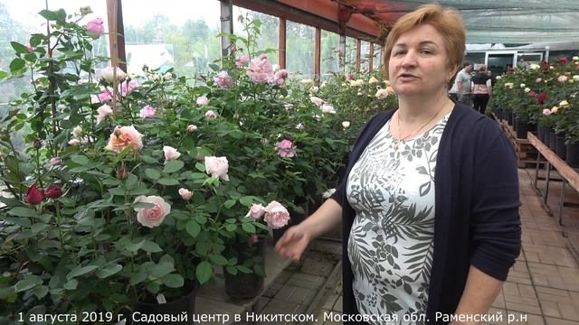 Сегодня в продаже. Садовый центр в Никитском 1 августа 2019г. смотреть онлайн