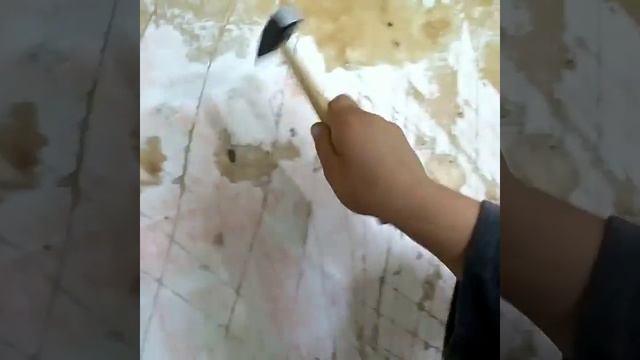 Строительная Лаборатория