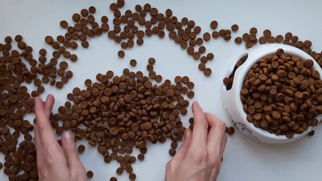 Корм ProBalance Sterilized смотреть онлайн