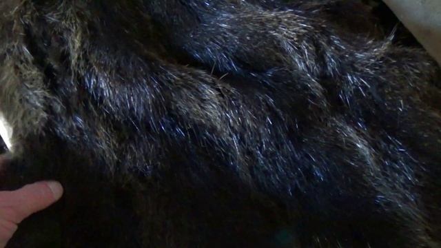 Приморские чжурчжэни ПАЛЕОДЕРЕВНЯ Екатериновского городища Партизанского района у с. Боец Кузнецов смотреть онлайн