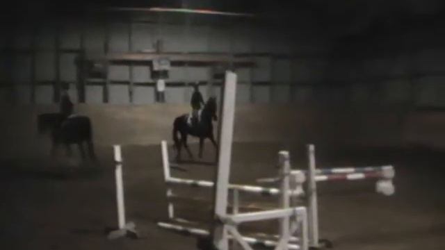 Germany´s next topmodel смотреть онлайн