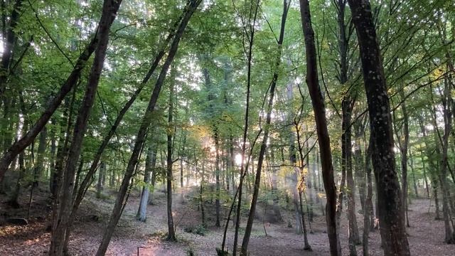 Музыка для ДУШИ !Музыка для сна ,медитация .Музыка 2020 новинки.!Relaxing music for stress relief!! смотреть онлайн