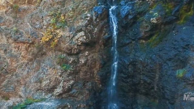 Mongol Gobi смотреть онлайн