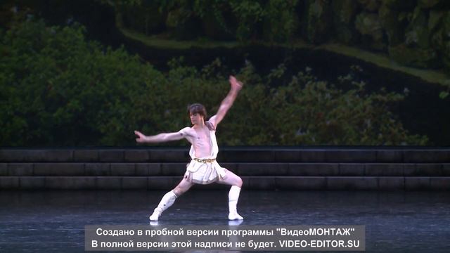 Filipa de Castro and Carlos Pinillos "Diana and Acteon grand pas de deux" смотреть онлайн