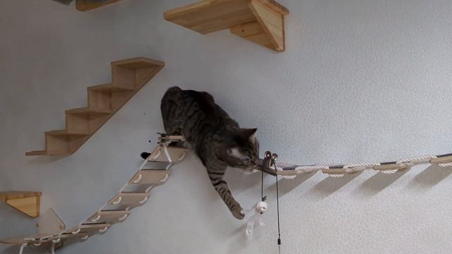 птичку достать очень хочется смотреть онлайн