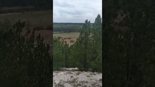Топ мест куда можно поехать на выходные. Меловые горы в Харьковской области /dzyba julia смотреть онлайн