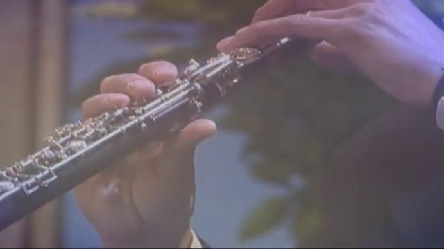 André Rieu - Love theme from Romeo and Juliet 1998 смотреть онлайн