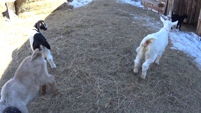 Наша настоящая жизнь смотреть онлайн