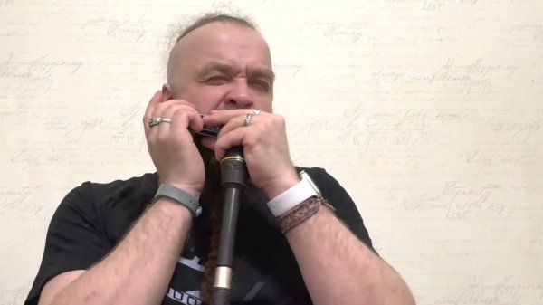 Boris Plotnikov - Каким ты был (И.Дунаевский) chromatic harmonica solo cover