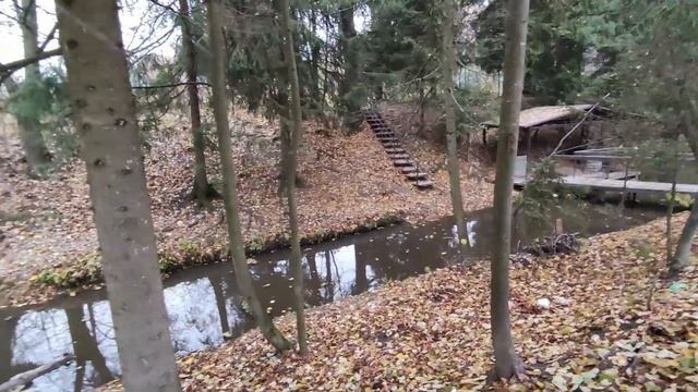 Кто сказал, что утки перелетные птицы? смотреть онлайн