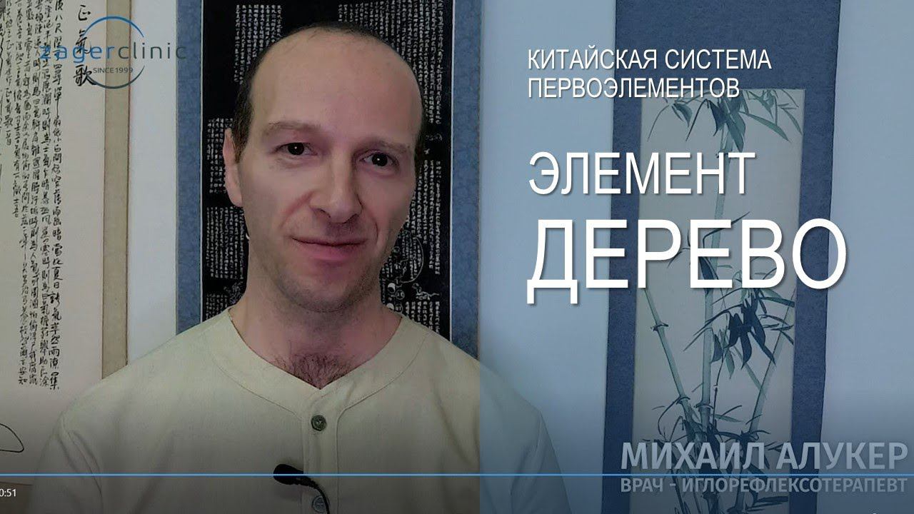 Элемент дерево | Система первоэлементов смотреть онлайн