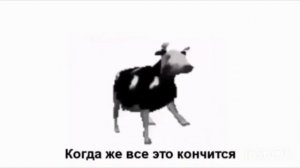Просто корова танцует под польскую музыку (перевод на русский язык)