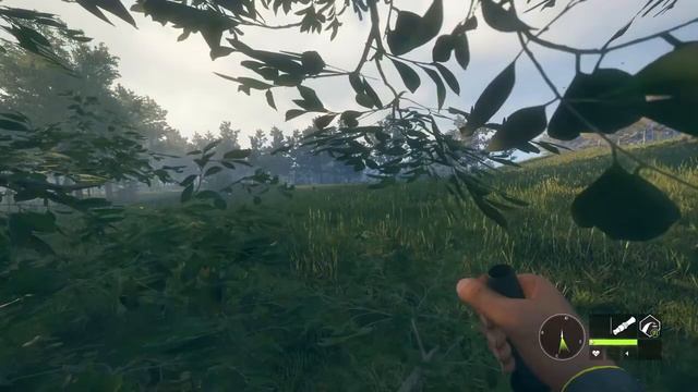 theHunter: Call of the Wild - Вертикальная охота в Новой Зеландии смотреть онлайн