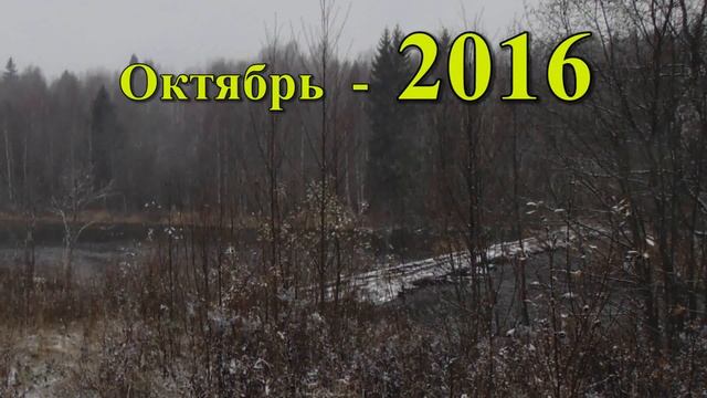 Витязи Река Видлица 2023 Лето высокой воды смотреть онлайн