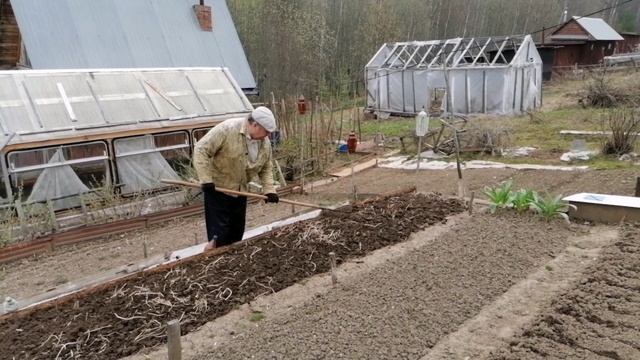 Садим МОРКОВЬ И ЛУК. смотреть онлайн