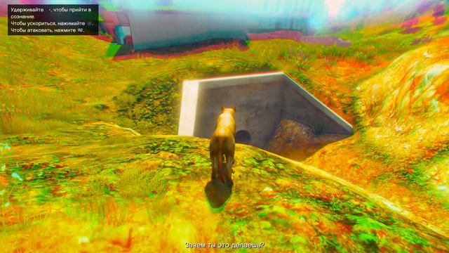 Как стать животным? (лофофоры 3/27) GTA5 смотреть онлайн