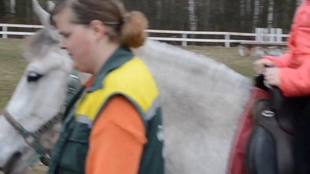 Катание ребенка на лошади в Беларуси смотреть онлайн