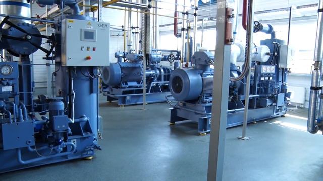 Екологічне лихо у Житомирі: через забруднення річки Тетерів почався масовий мор риби смотреть онлайн