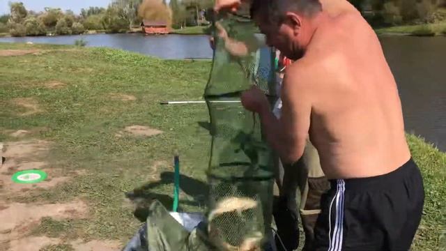 Ночная рыбалка у нас на водоеме смотреть онлайн