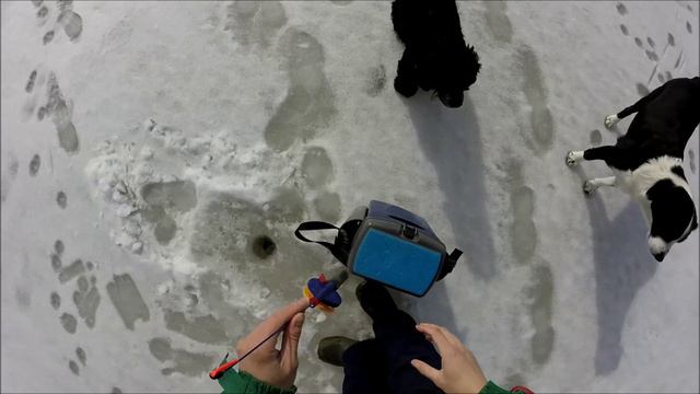 ЗА ОКУШКОМ.