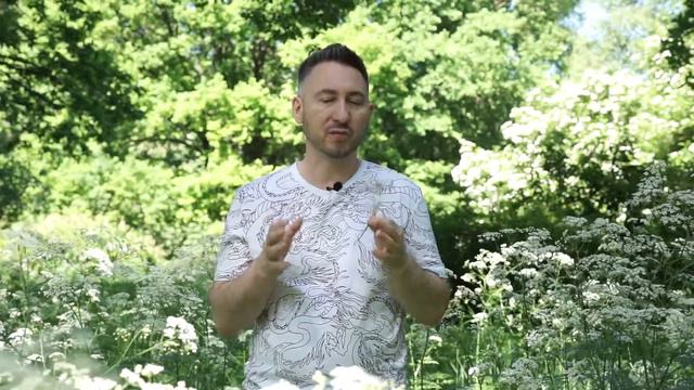 Определения ароматов. Ограничения смотреть онлайн
