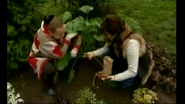 Сажаем крокусы.mp4 смотреть онлайн