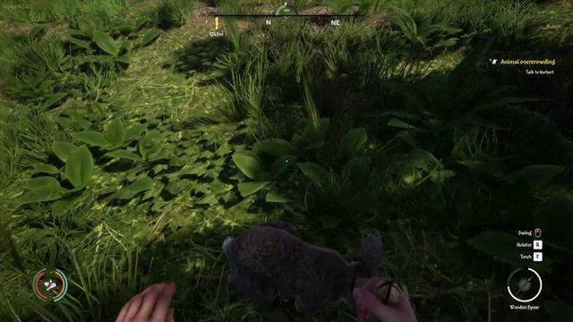 Spears Don't Work... - Medieval Dynasty v0.2 Alpha | #5 смотреть онлайн