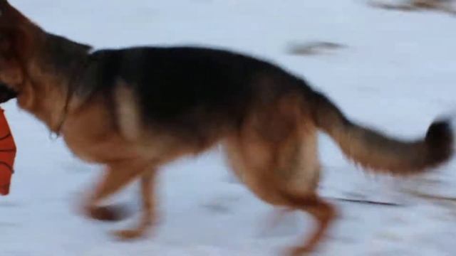 Зильбер Вассерфаль Шампань ( Х-Бокс ф Арлетт+ Бальдрсенс Кьянти) п-к Зильбер Вассенрфаль 8911418002 смотреть онлайн