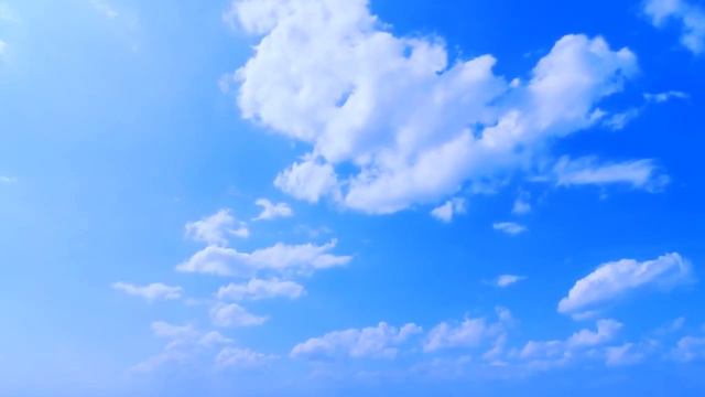 Brock Berrigan - Alessa