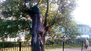 . Дивеево. Канавка Царицы Небесной в Дивеевском монастыре. Экскурсия