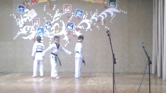 показательное выступление ТХЭКВОНДО лицей Петру Мовилэ смотреть онлайн