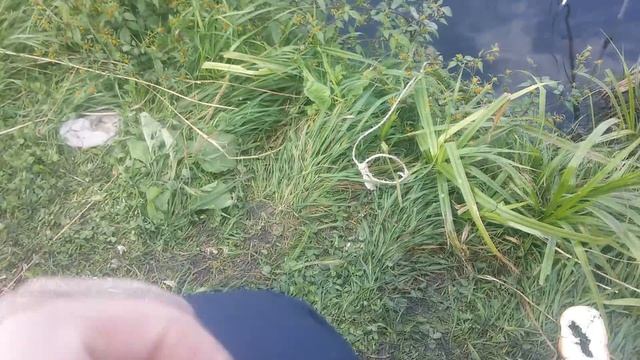 На рыбалку ездили. смотреть онлайн