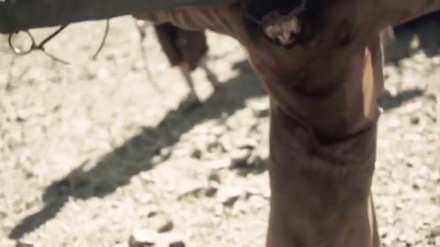The Story of Jesus DVD - "Take up your cross" смотреть онлайн