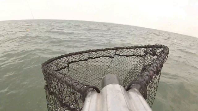 Lake Erie Eye Candy смотреть онлайн