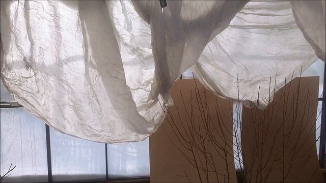 Температуры в теплицах в конце зимы смотреть онлайн