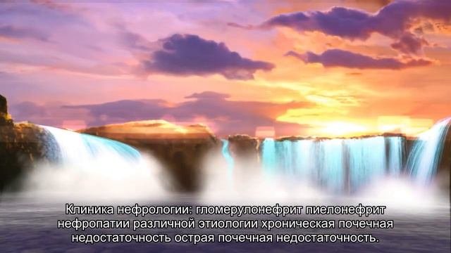 Первый Санкт-Петербургский государственный медицинский университет им. ак. И.П.Павлова (ПСПбГМУ им смотреть онлайн