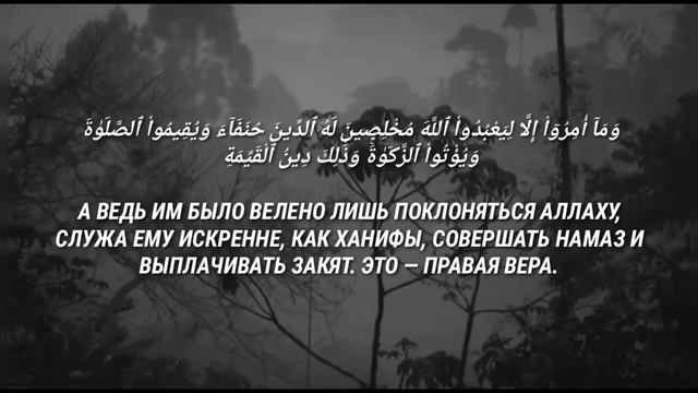 Quran! Омар хишам Аль араб Сура\ Аль баййина` смотреть онлайн